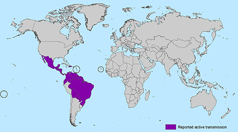 Map of active Zika transmissions