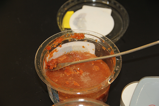 A sample of tomato-based hot sauce is spooned from the
container in preparation to test it for pesticide contamination.

