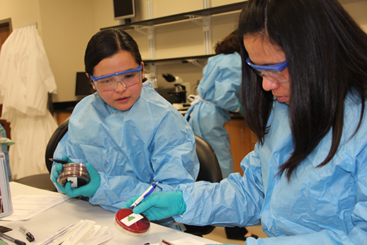 Laboratorians practice
how to identify potential
agents of bioterrorism as
part of a preparedness
workshop hosted by the
Hygienic Laboratory.