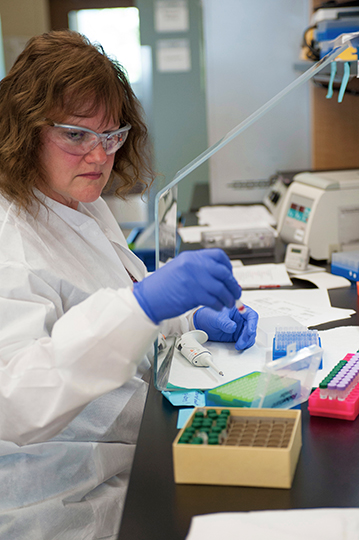 Karen Ciesielski, clinical lab analyst, examines a specimen for the Maternal Screening process.