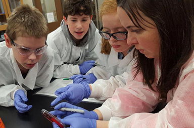 Stephany Cochran (right) works with three sixth-grade students – known as GERMinators – to identify bacterial colonies that have grown in a petri dish. Evan Raefield (left), Ari Collins and Anna Mattson are Student Mentorship recipients who are studying how to limit the spread of germs on gloves.