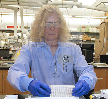 Barb Shirazi, clinical lab technical specialist, checks a plate to ensure all excess coating antibody has been removed.